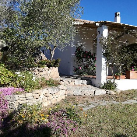 Agriturismo La Valletta Hotel Santa Teresa di Gallura Esterno foto