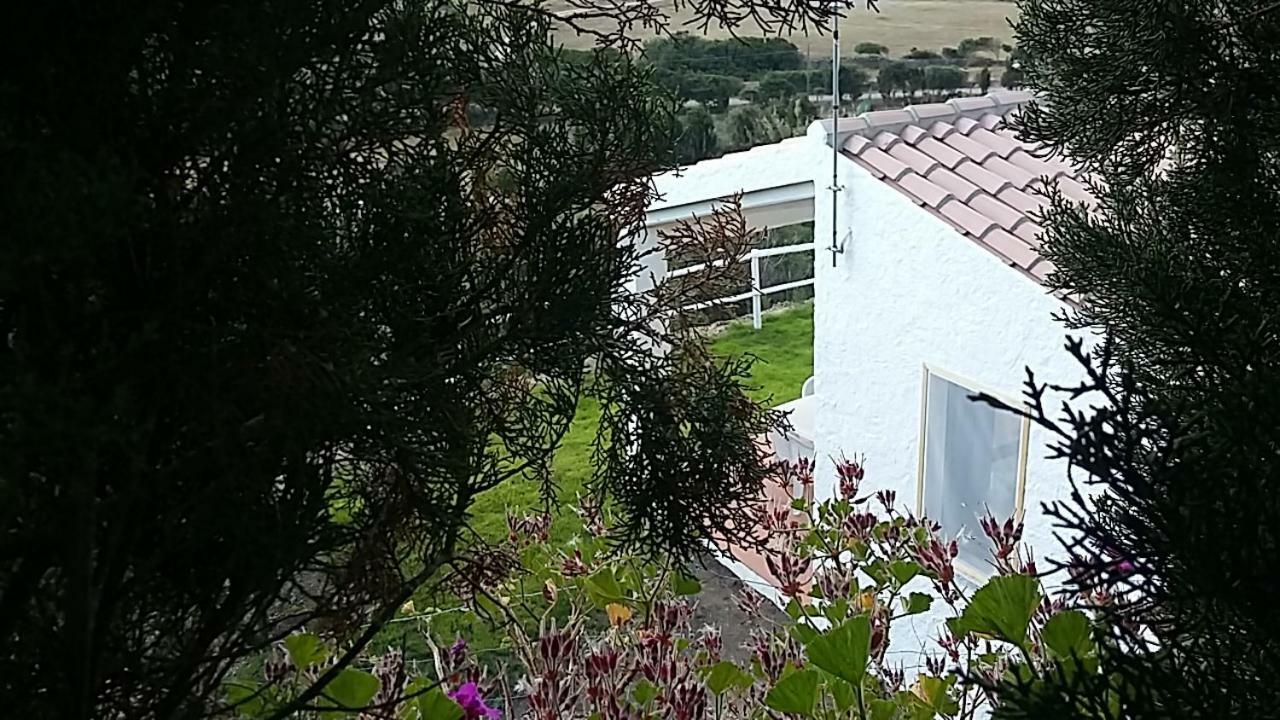 Agriturismo La Valletta Hotel Santa Teresa di Gallura Esterno foto